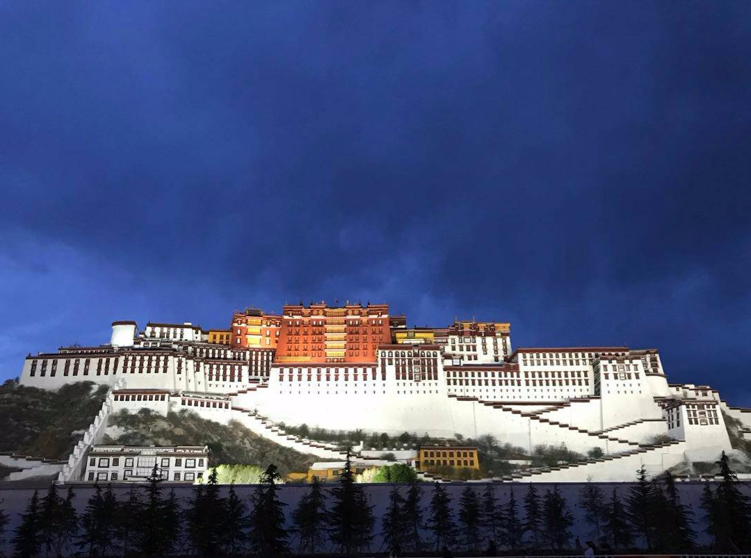 Tibet Vista景点图片