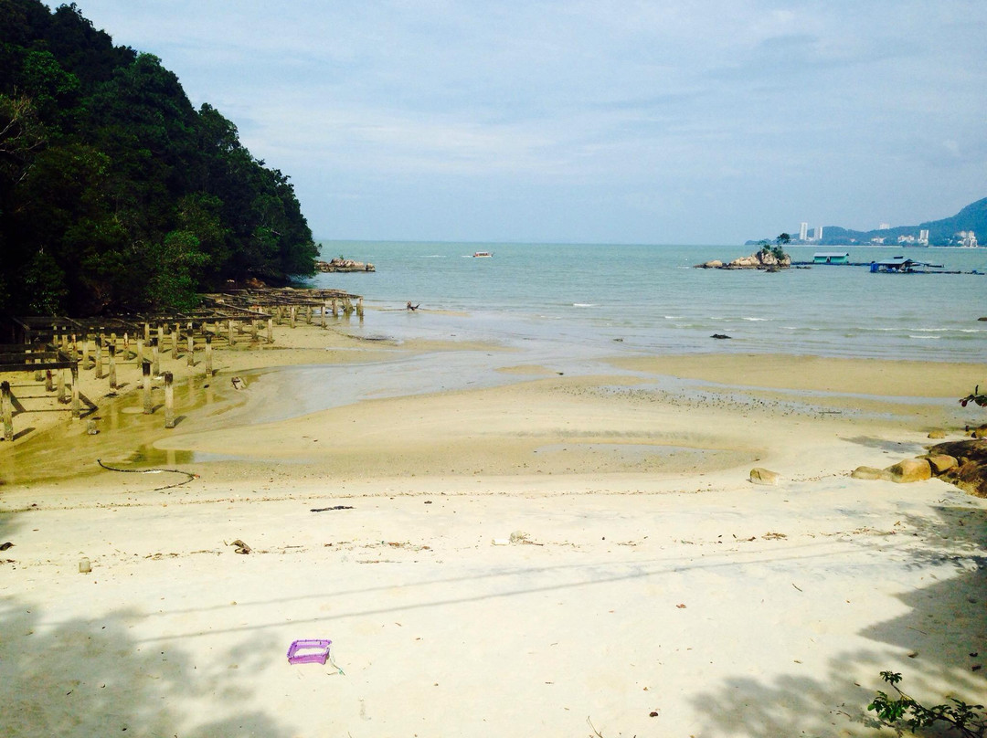 Pantai Monkey-槟城岛必去景点