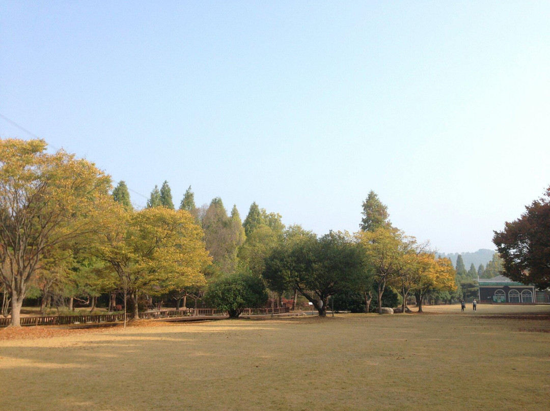 晋州市旅游景点-Gyeongsangnamdo Arboretum