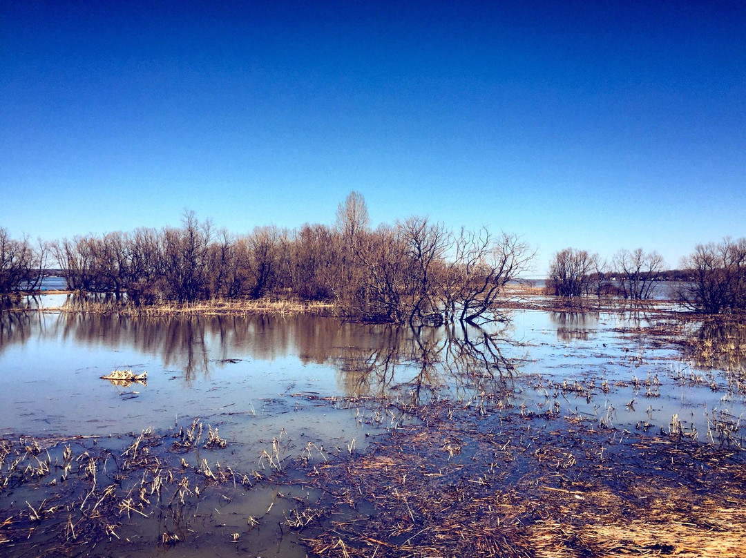 Nicolet旅游攻略图片