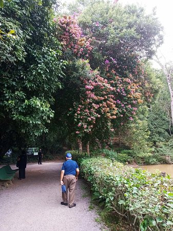 Zooparque-Itatiba必去景点