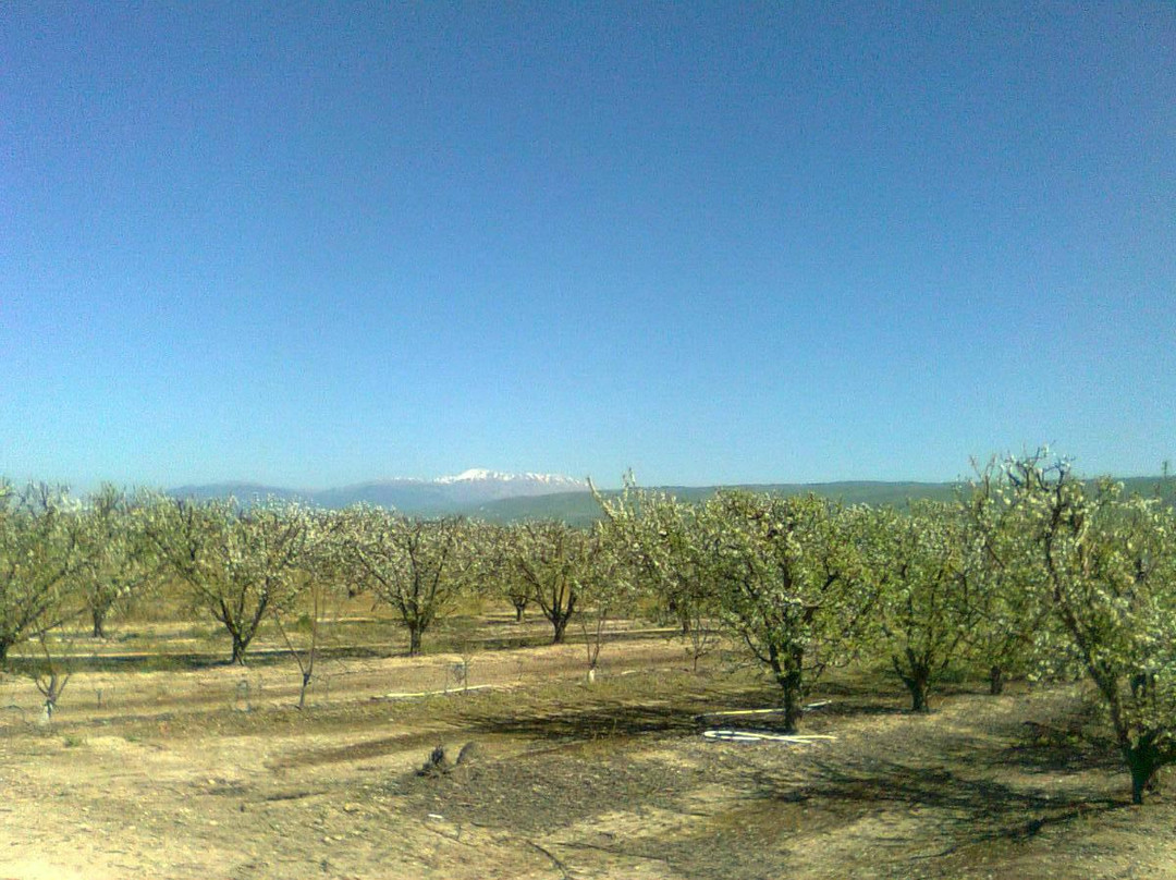 Yesod Hamaala旅游攻略图片