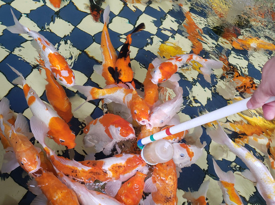 塔子山公园-成都必去景点