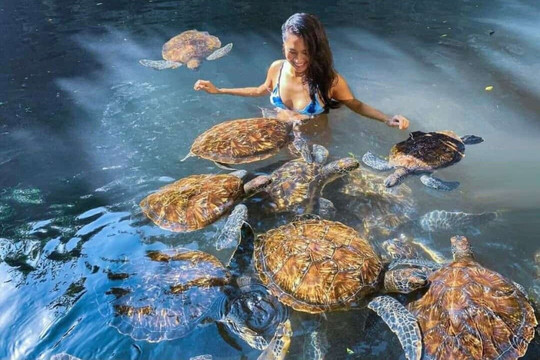 Risertoursandsafaris