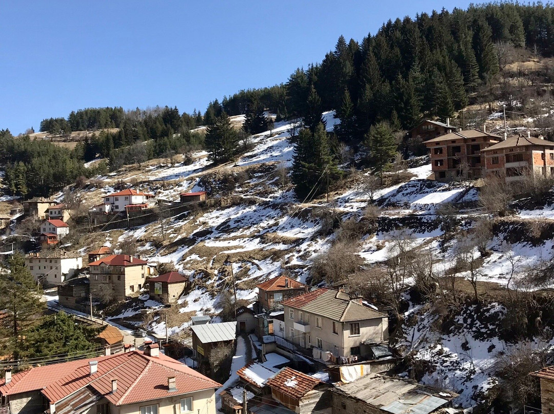 Zabardo旅游攻略图片