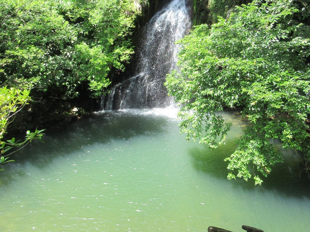 Ichinotaki Waterfall景点图片