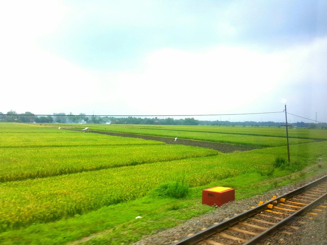 Sencaka Pagi Train Trip景点图片