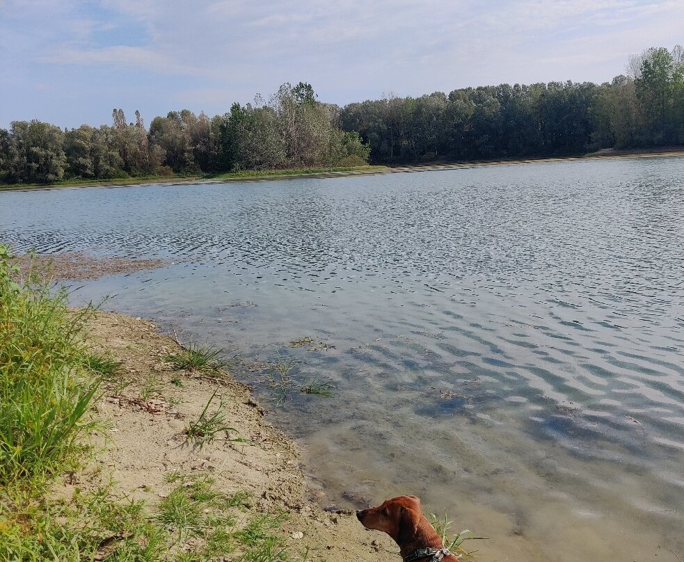 Il Parco dell'Isola Giarola e del Lancone景点图片