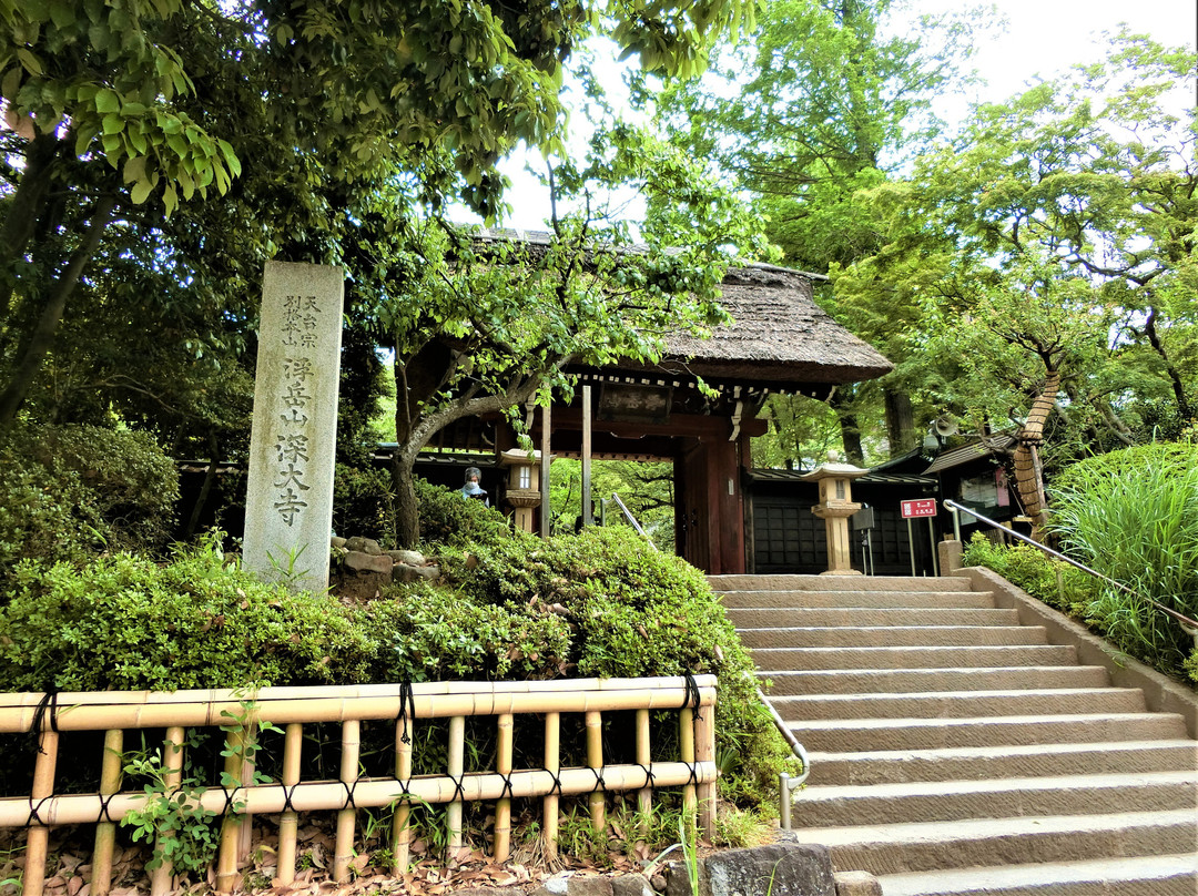 Jindai-ji Temple Sammon Gate景点图片