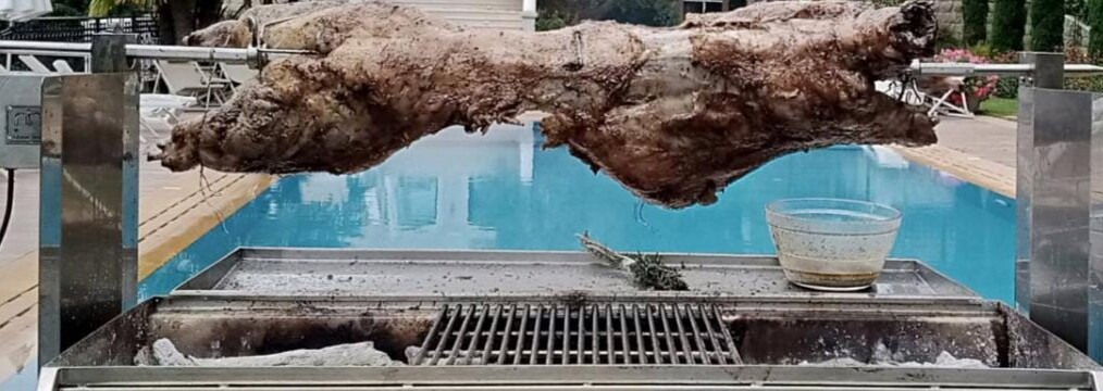 Mikey's Snack Bar主图