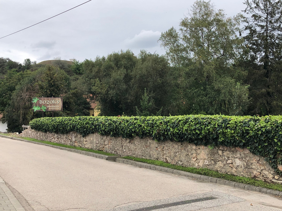 Bozoky Winery景点图片