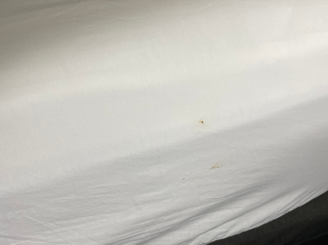 Country Inn & Suites by Radisson, Sevierville-Kodak, TN主图