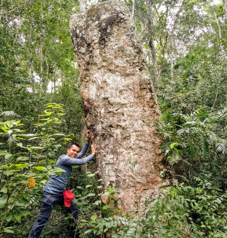 Calakmul Tours By Enrique景点图片