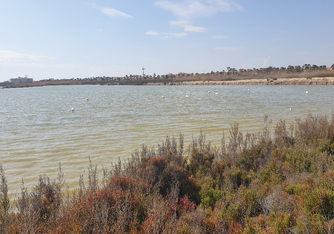 Sendero De Las Encañizadas-San Pedro del Pinatar必去景点