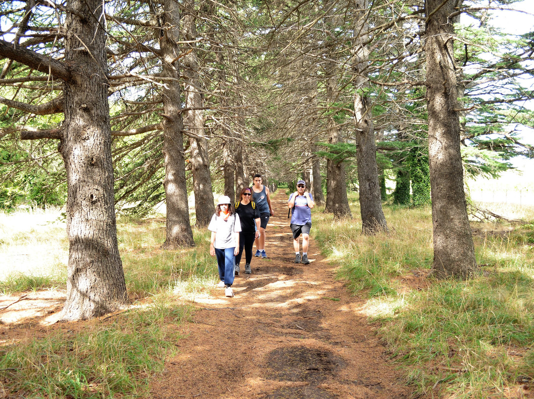 Estancia Las Vertientes-Villa Ventana必去景点