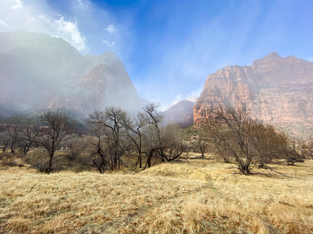 Grotto Trail-锡安国家公园必去景点