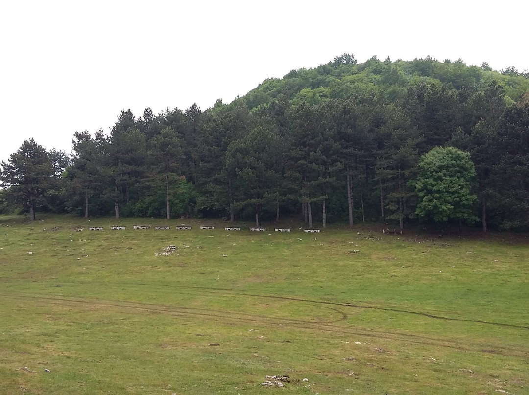 Okolchitsa Peak - National Park Of Hristo Botev-Chelopek必去景点