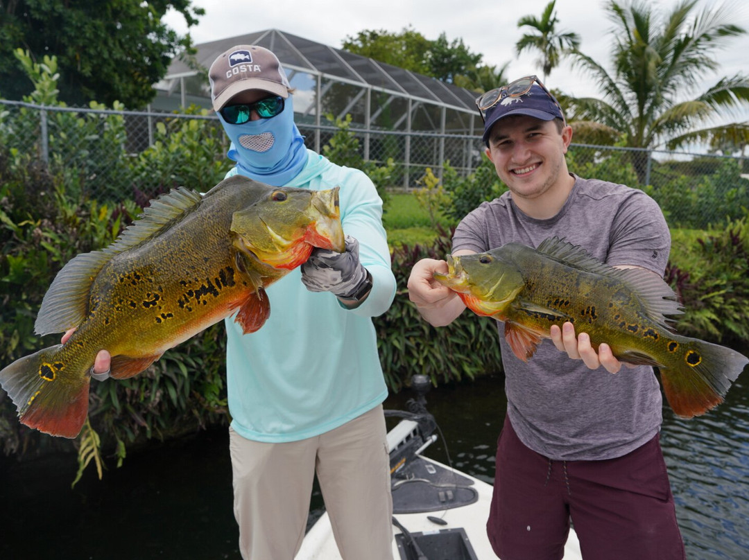 Miami Peacock Adventures - Day Tours-肯德尔必去景点