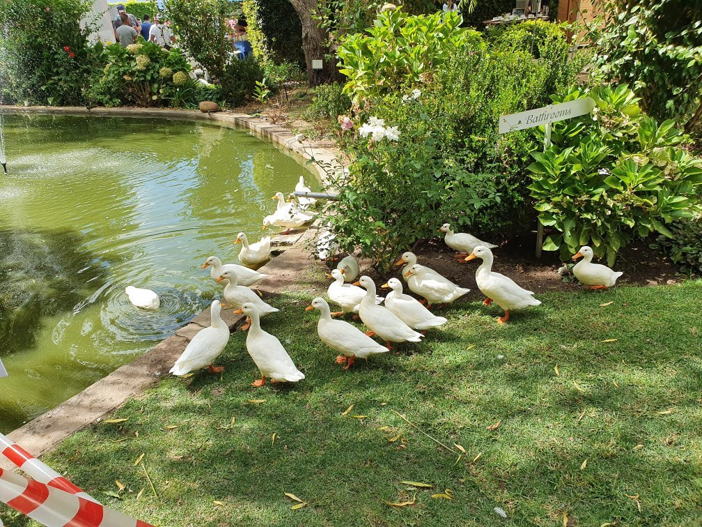 Zonnevanger Guesthouse主图