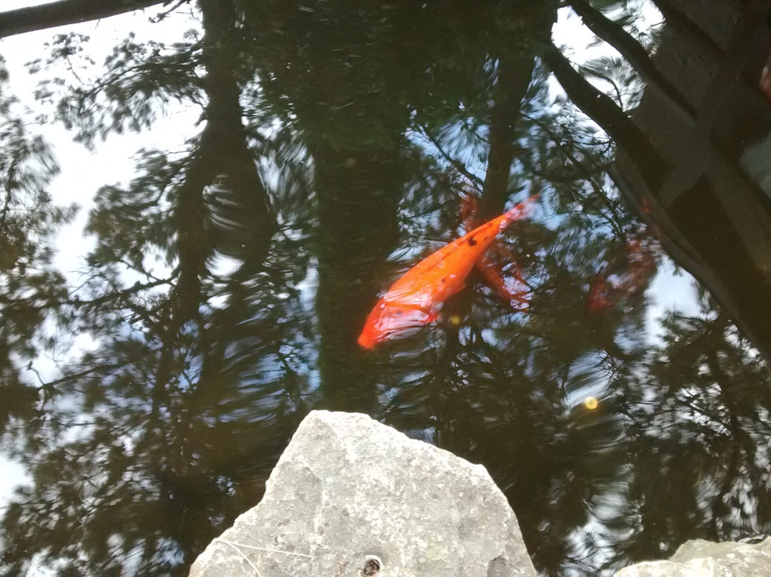 Paseo Mago Ju景点图片