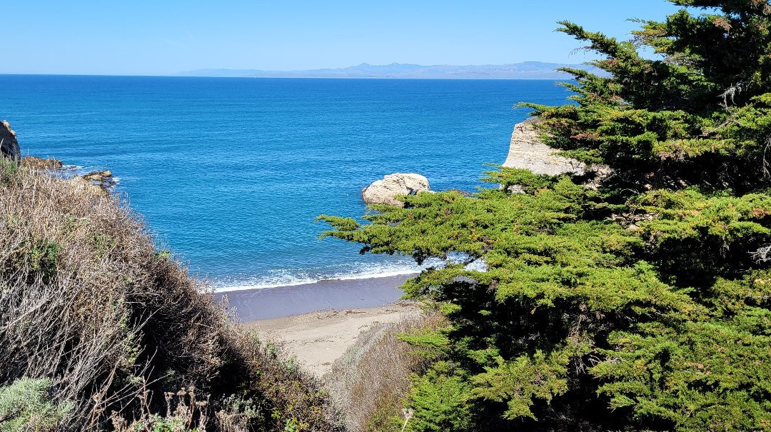 Bluff Trail景点图片