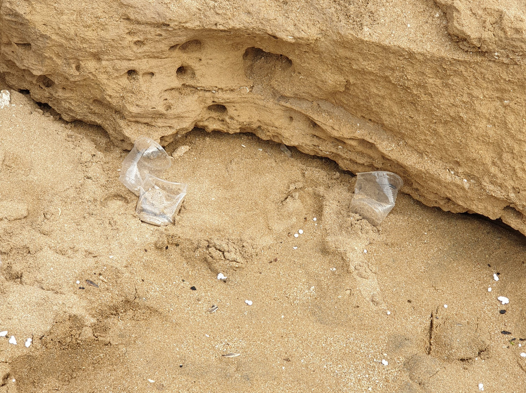 Ree Shahr-Bushehr必去景点