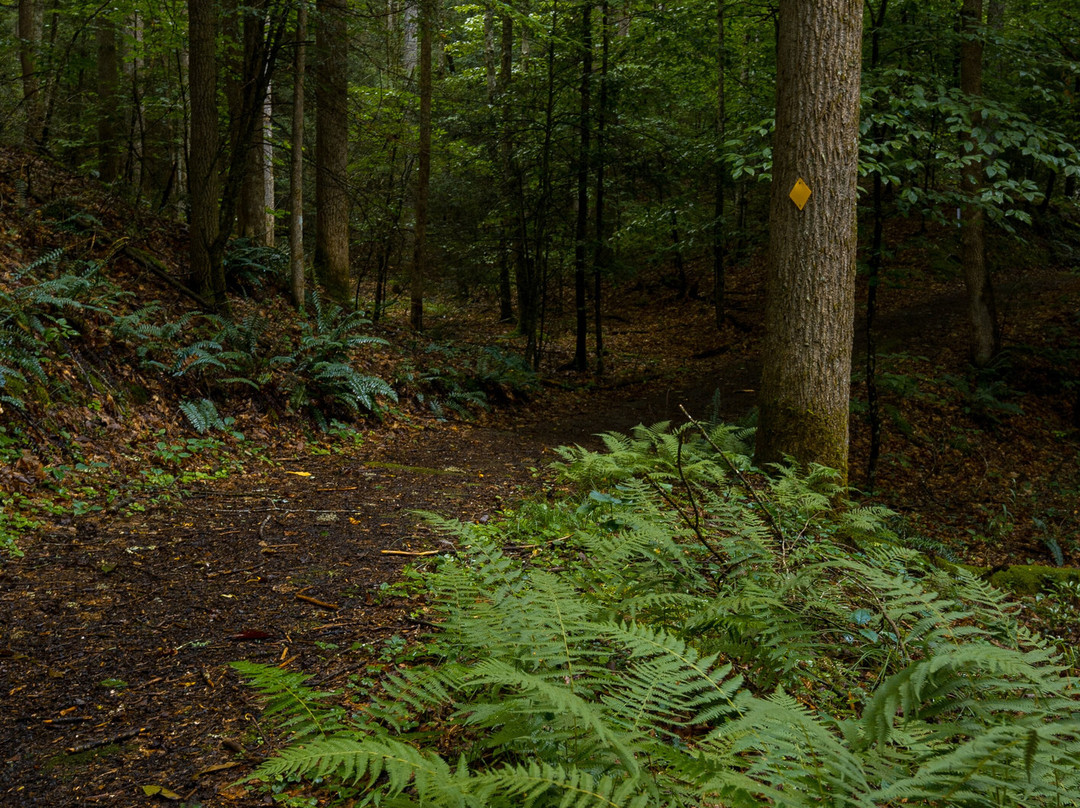 Twin Falls State Park-Mullens必去景点