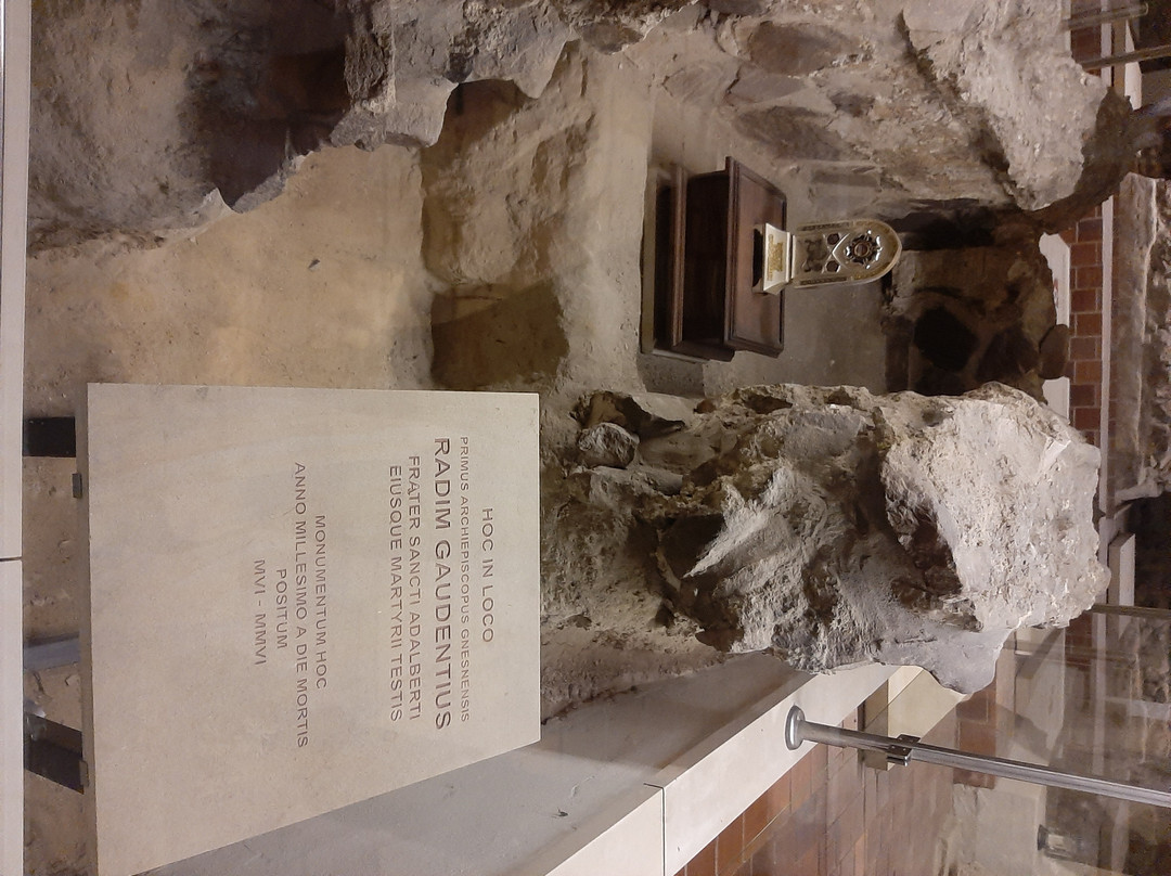 Archdiocese of Gniezno Museum景点图片