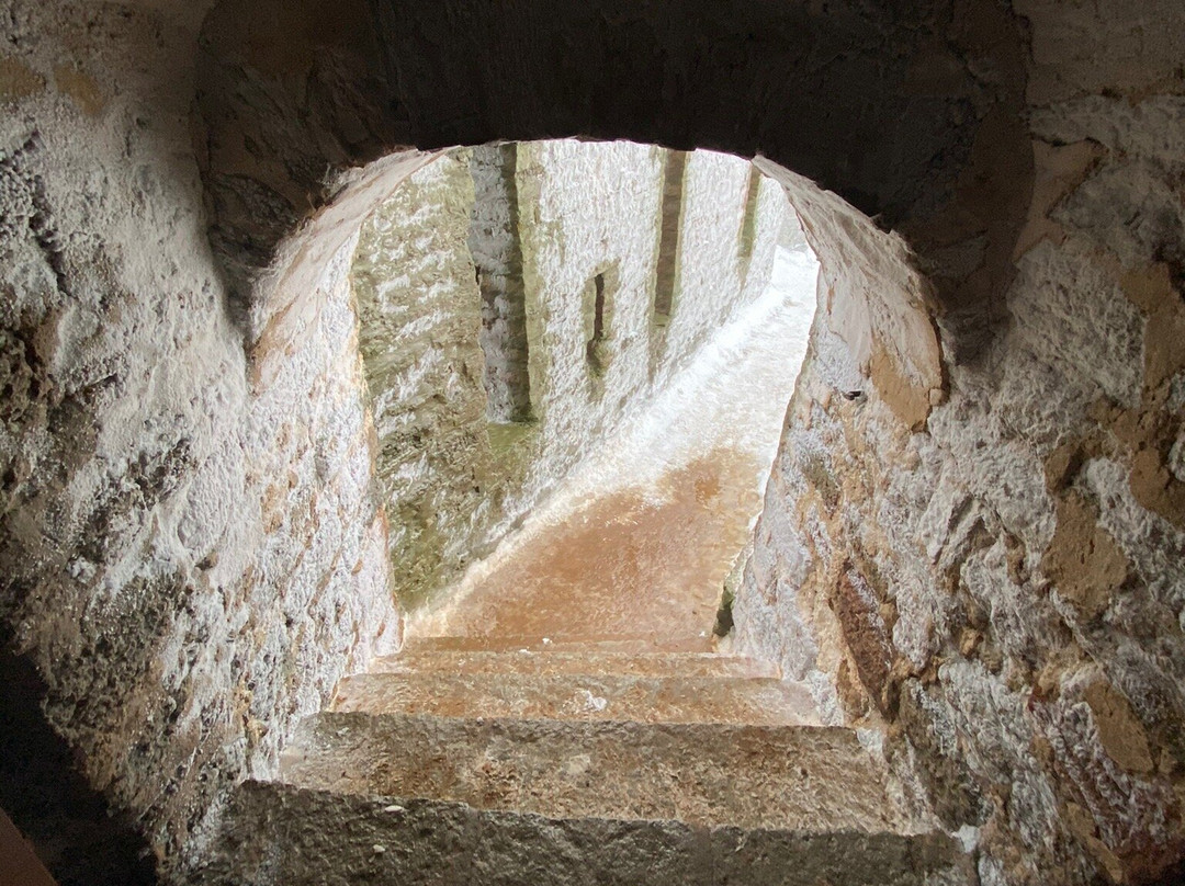 Ivangorod Fortress景点图片