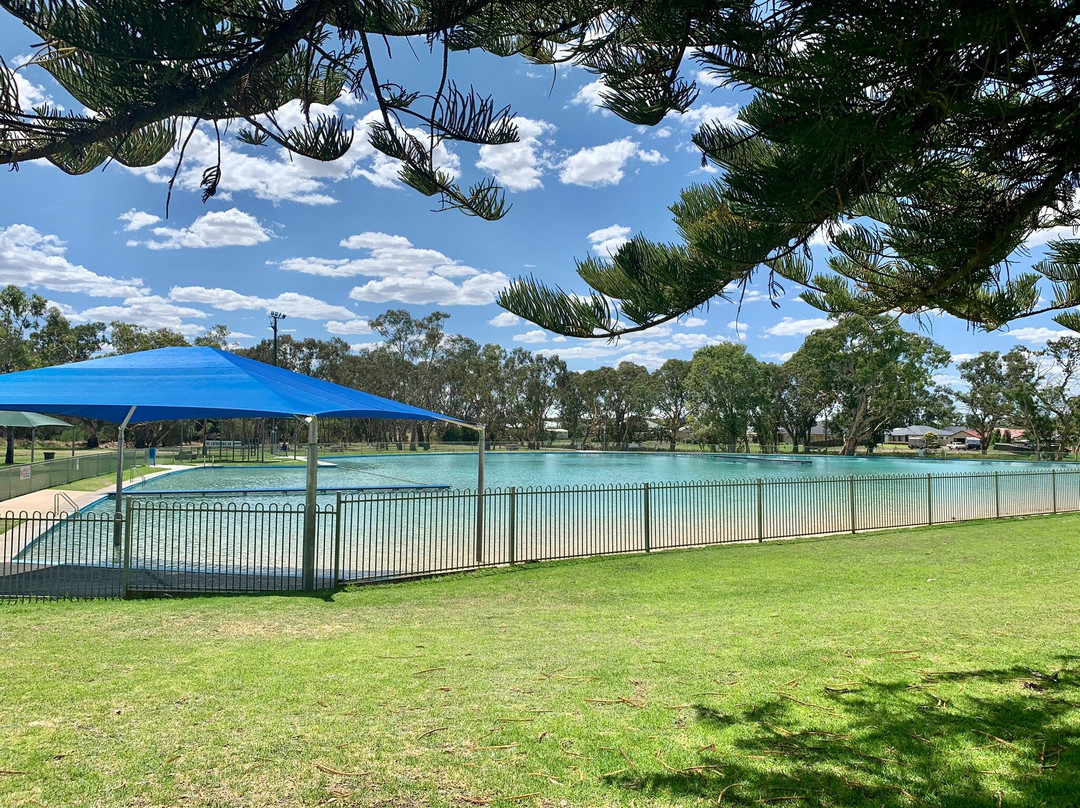 Naracoorte Swimming Lake景点图片