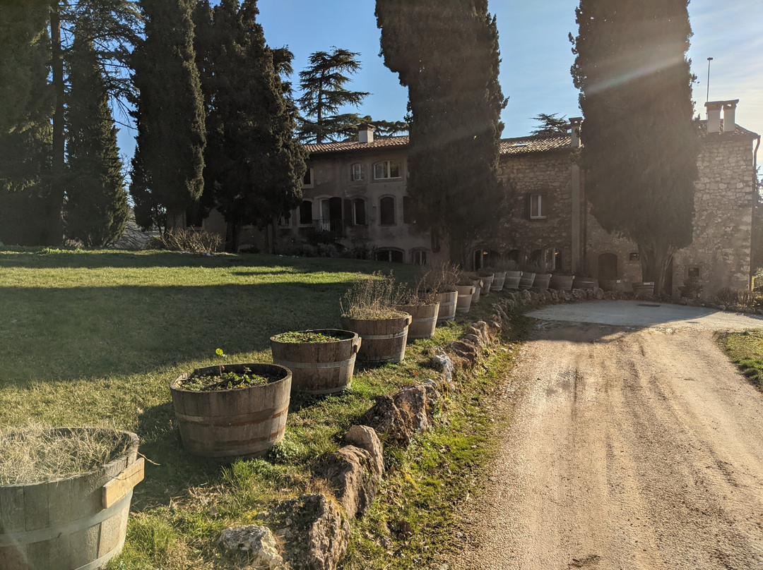 Massimago Winery and Country Relais主图