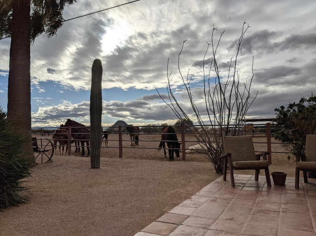 White Stallion Ranch-图森必去景点