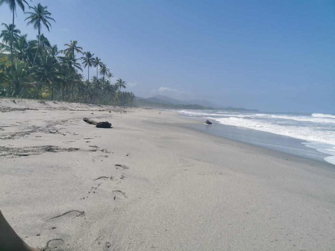 Viajero Hostel Tayrona & Ecohabs主图