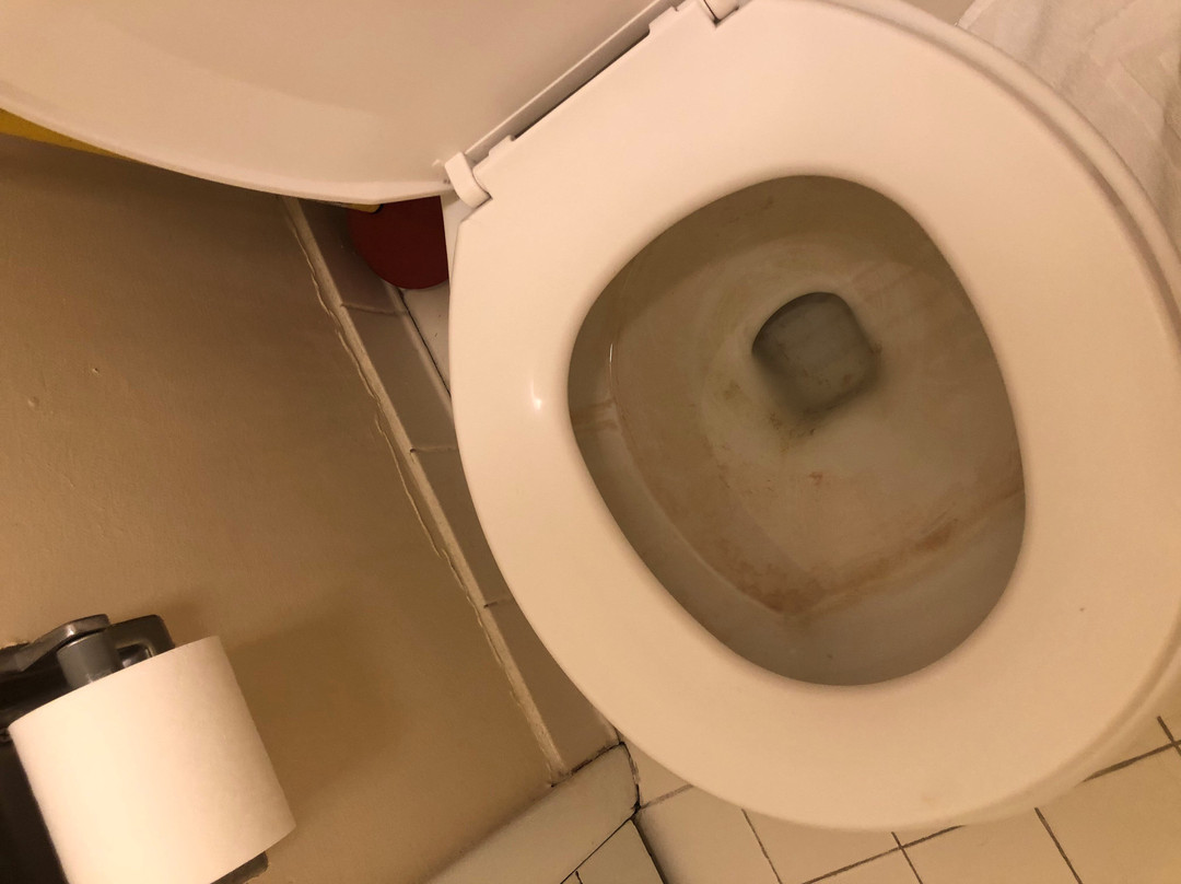 Homestead Resort主图