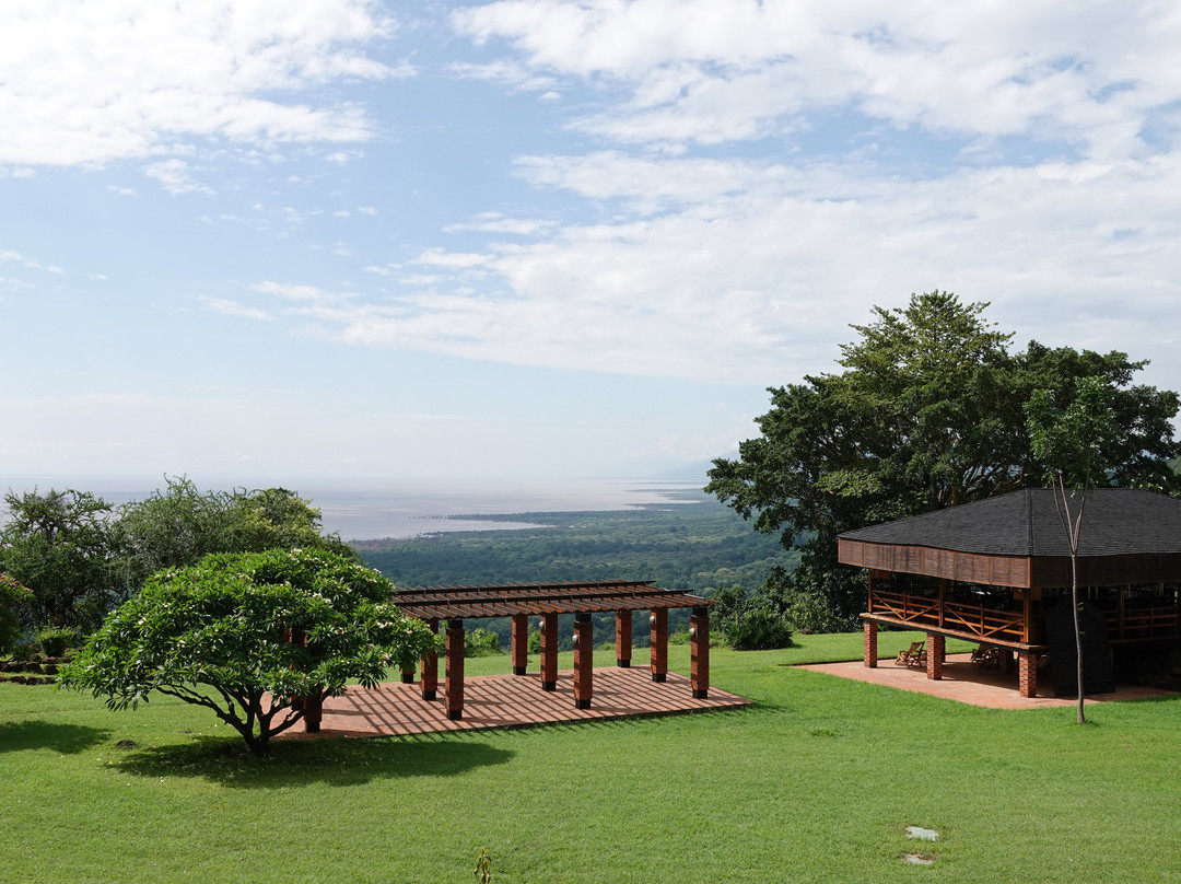 马尼亚拉湖野生动物山林小屋主图