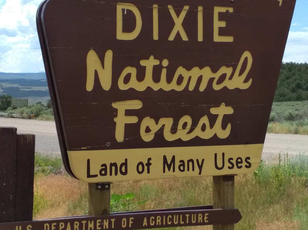 Dixie National Forest-锡达城必去景点