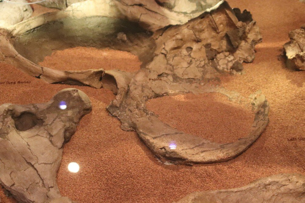 Western Science Center-赫米特必去景点