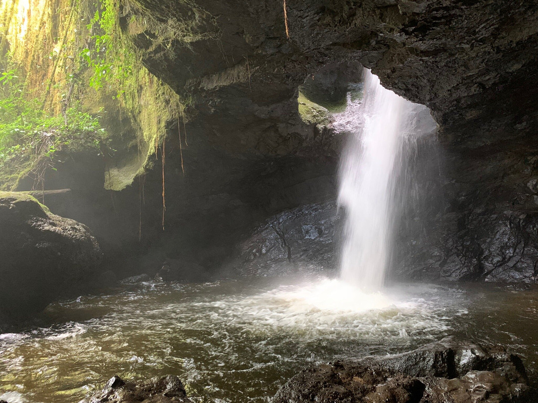 Cueva del Esplendor-Jardin必去景点