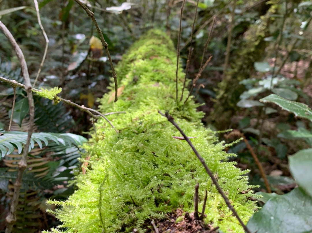 Terblans Nature Walk-克尼斯纳必去景点