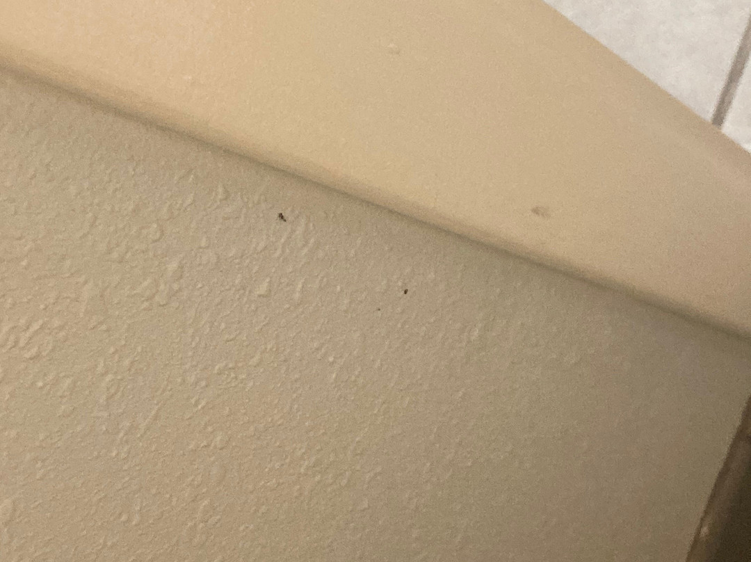 Best Western Grants Pass Inn主图