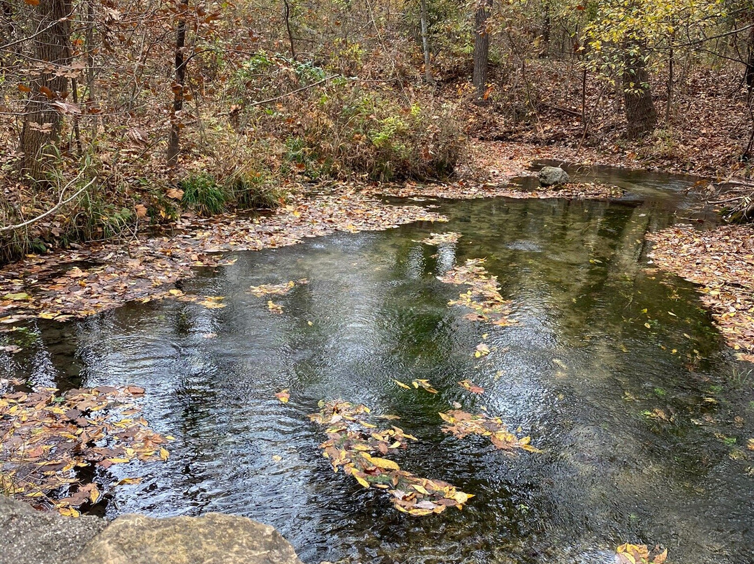 Chickasaw National Recreation Area景点图片