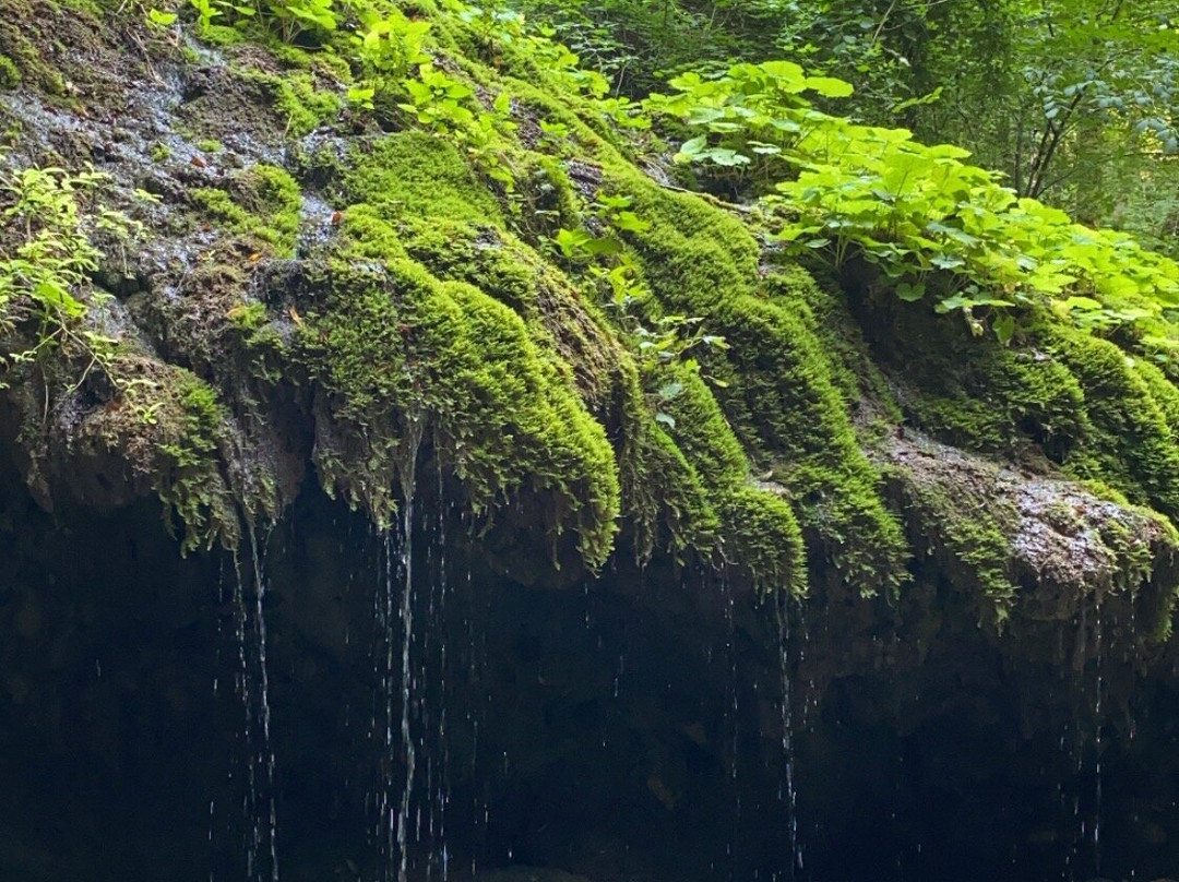 Cascate Kot景点图片