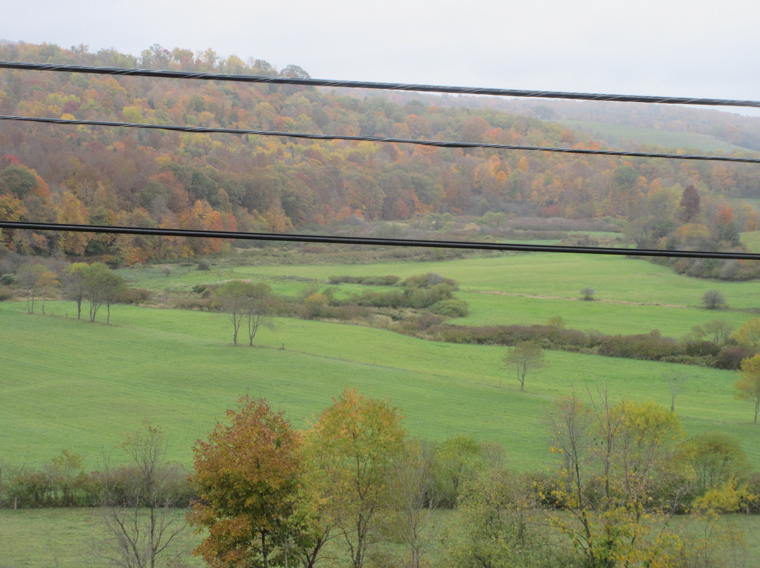 Deep Creek Lake State Park景点图片