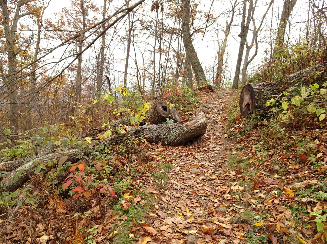 Mary's Rock Summit Trail景点图片