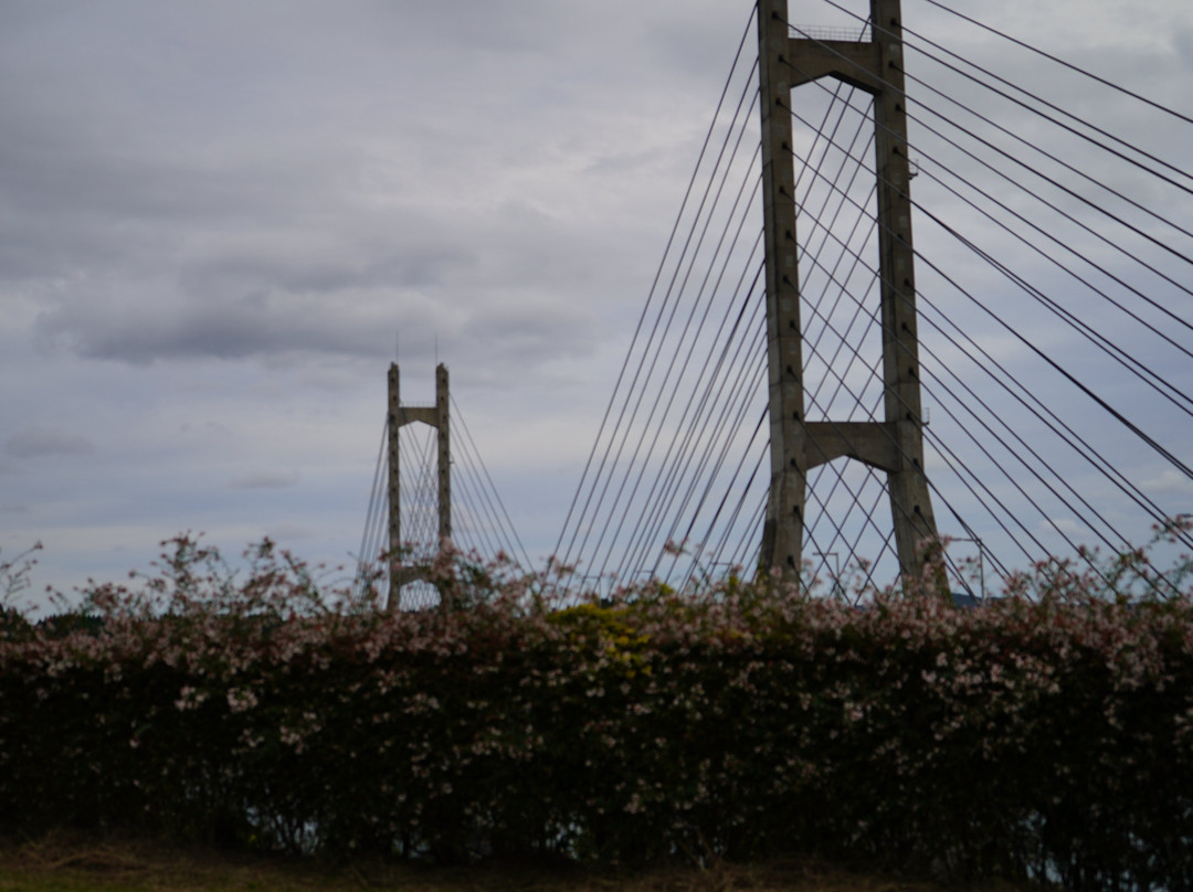 Twin Bridge Noto景点图片