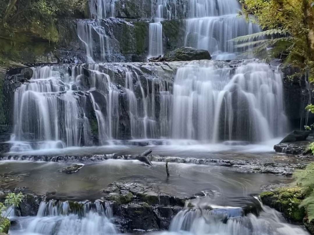 Matai Falls Walk景点图片