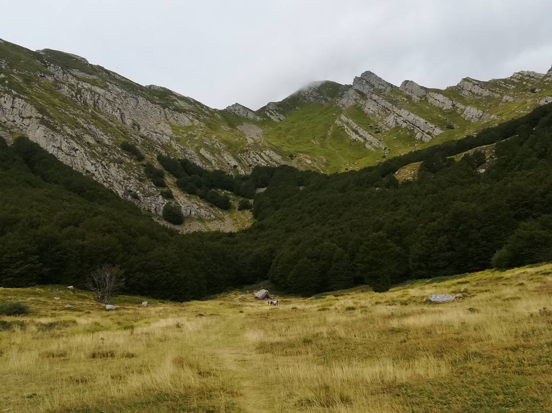 Sorgenti Del Secchia景点图片