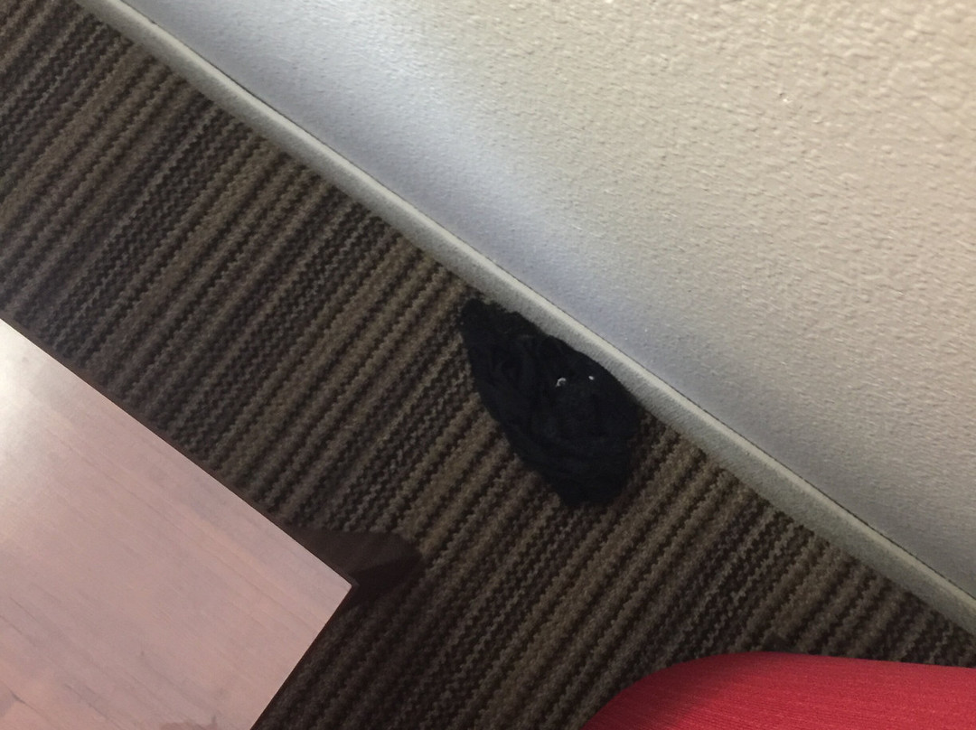 Country Inn & Suites by Radisson, Ames, IA主图