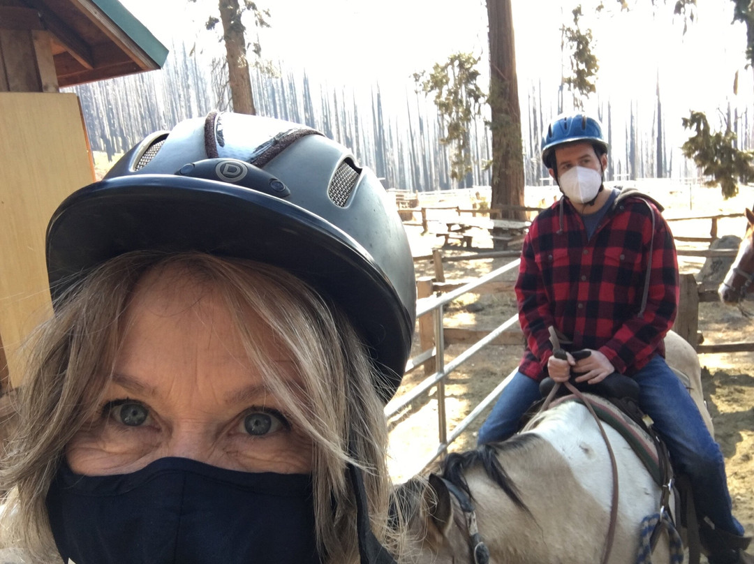 Yosemite Trails Horseback Adventures-菲什营必去景点