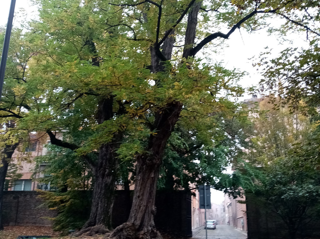 Parco Pareschi景点图片